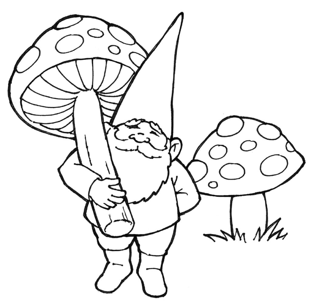 Mushroom - Dancing Gnome Farm